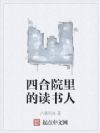 四合院里的读书人