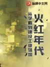 火红年代:从学霸到建设工业强国