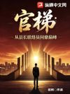官梯:从县长联络员问鼎巅峰