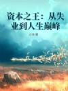 资本之王:从失业到人生巅峰
